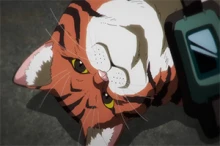 Nyaight of the Living Cat episodio 9
